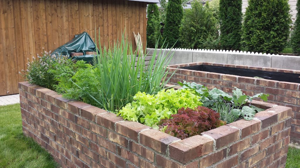 Sternensinn Garten Und Mehr Bye Bye Sommer 2015 Bilderflut