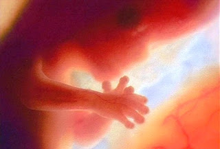 12 सप्ताह में मानव भ्रूण गर्भाशय में