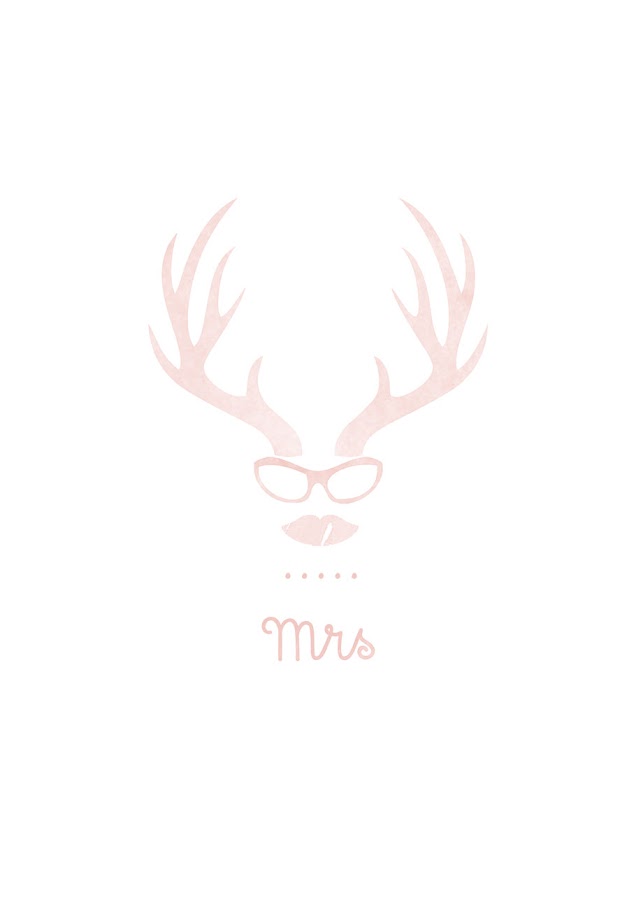 laminas-nuevas-tienda