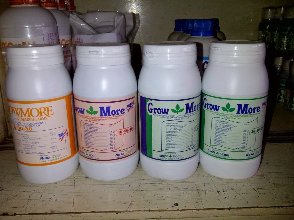 tissue culture and orchidologi pemupukan pada tanaman anggrek tissue culture and orchidologi pemupukan pada tanaman anggrek