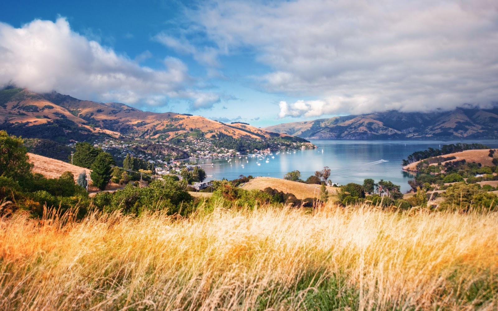 Akaroa, New Zeland Travel Info