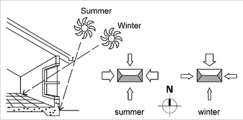 an analysis of the all life on earth on the energy of the sun Life on earth depends on the sun photosynthesis is an importantpart of the energy chain in plants and animals go science math history literature technology health law business all sections. an analysis of the all life on earth on the energy of the sun Life on earth depends on the sun photosynthesis is an importantpart of the energy chain in plants and animals go science math history literature technology health law business all sections.