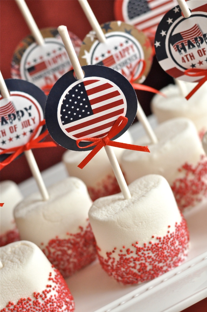 4th of July Party Ideas for Everyone!