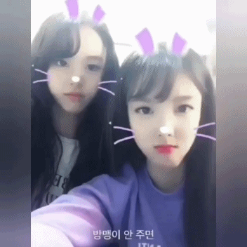 2.gif