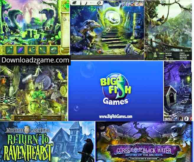 Big fish games online