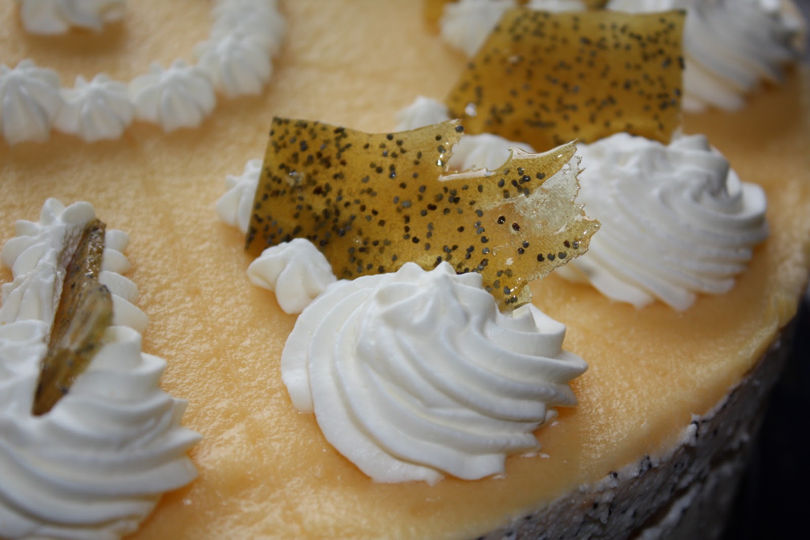 dies´und das und süsse Sachen...: Aprikosen-Mohn-Torte