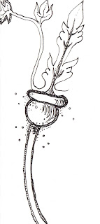 The Sketchbook Challenge: Can't Resist it!