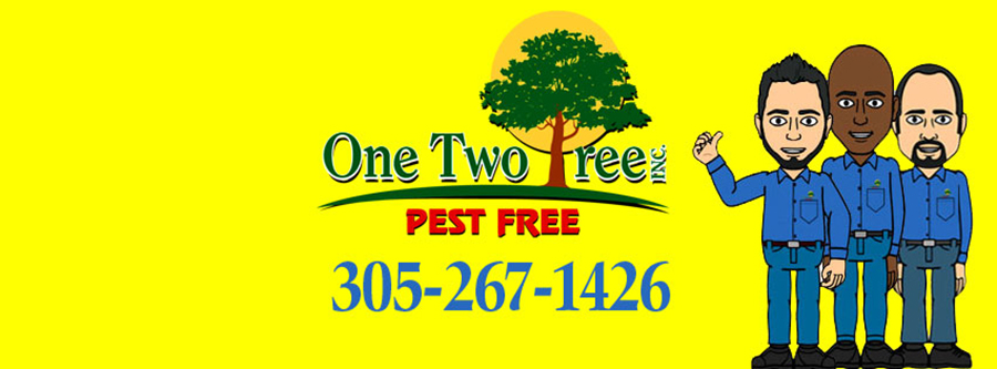 One Two Tree Inc.