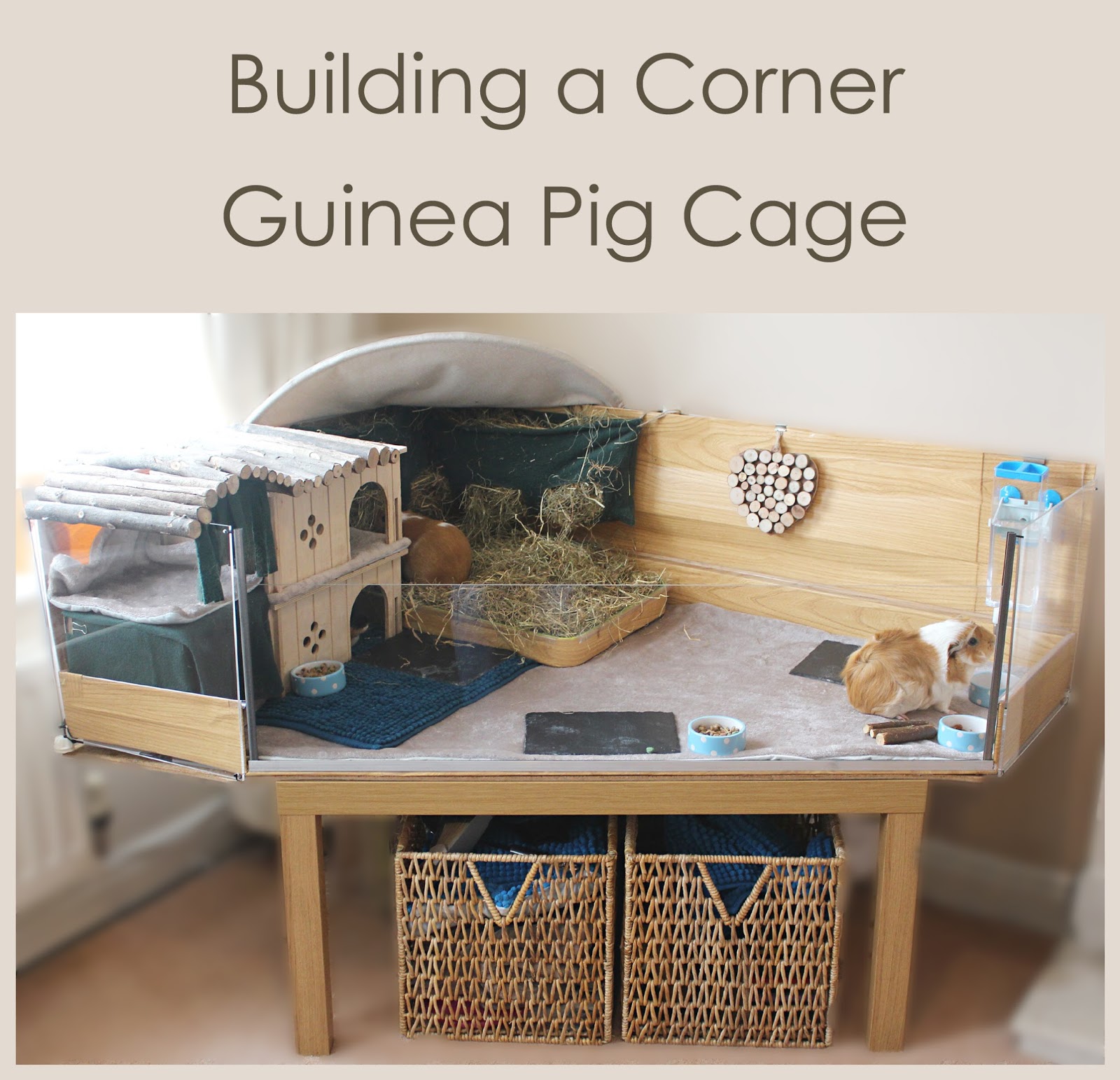 Building a corner DIY C and C style guinea pig cage with a Perspex