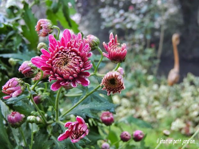 palette d'automne au jardin