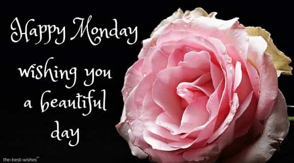 good-morning-happy-monday-flowers-images good morning happy monday flowers images
