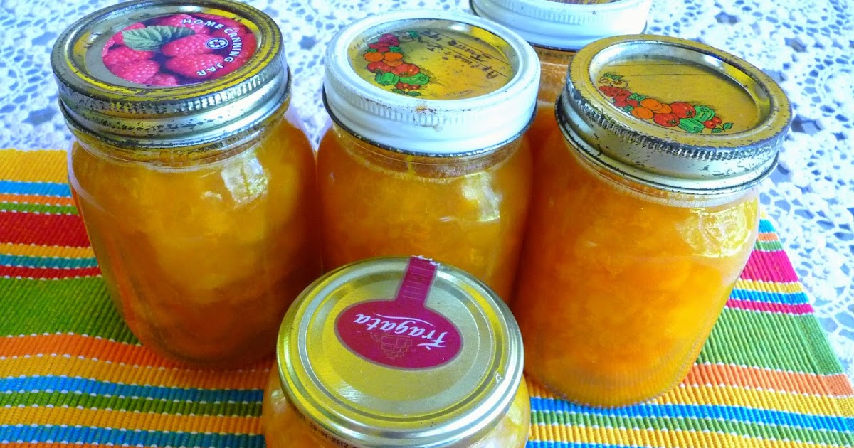 SPLENDID LOWCARBING BY JENNIFER ELOFF APRICOT JAM