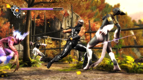 Ninja Gaiden Black Xbox Cheats Ninja Gaiden Black Xbox Cheats