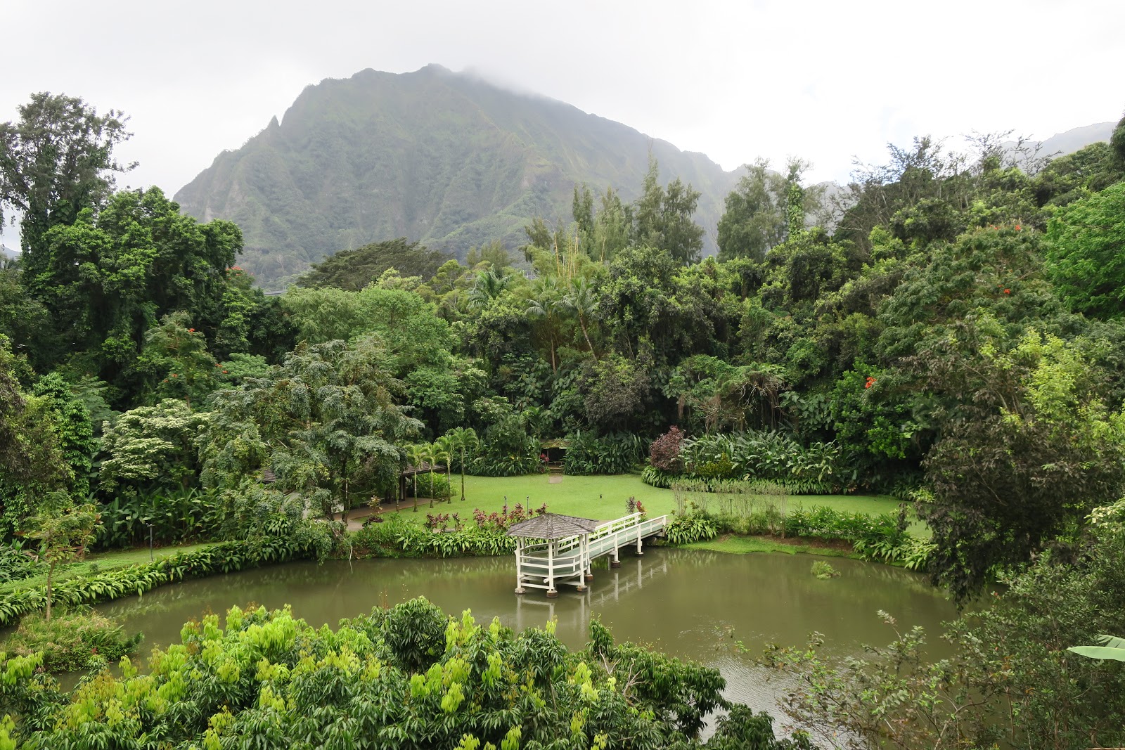Goth Gourmande Review Haleiwa Joe's, Oahu Hawaii