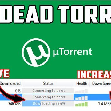 You Torrent