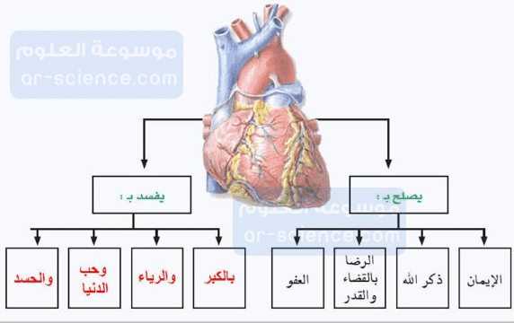 مرادف أومأ