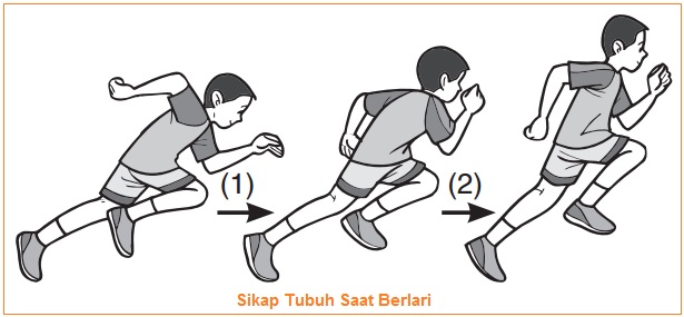 Pengertian Teknik Dasar Langkah Langkah Lari Jarak Pendek Macam Macam Start Lari Jarak Pendek Start Lari Jarak Pendek Sikap Tubuh Peralatan Lari Jarak Pendek