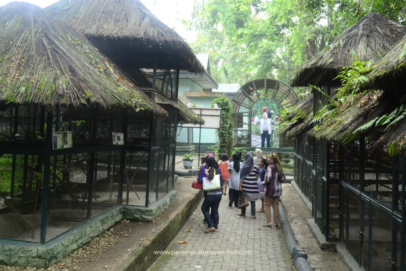 kebun binatang siantar