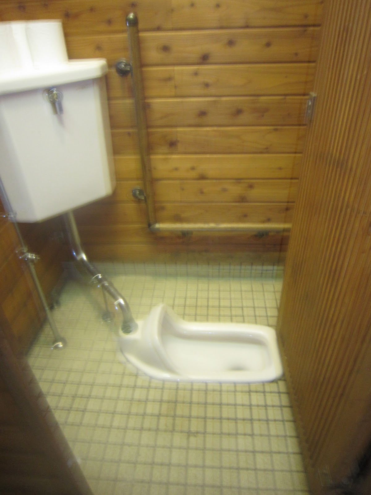 Purple Pen in Japan The Japanese Toilet