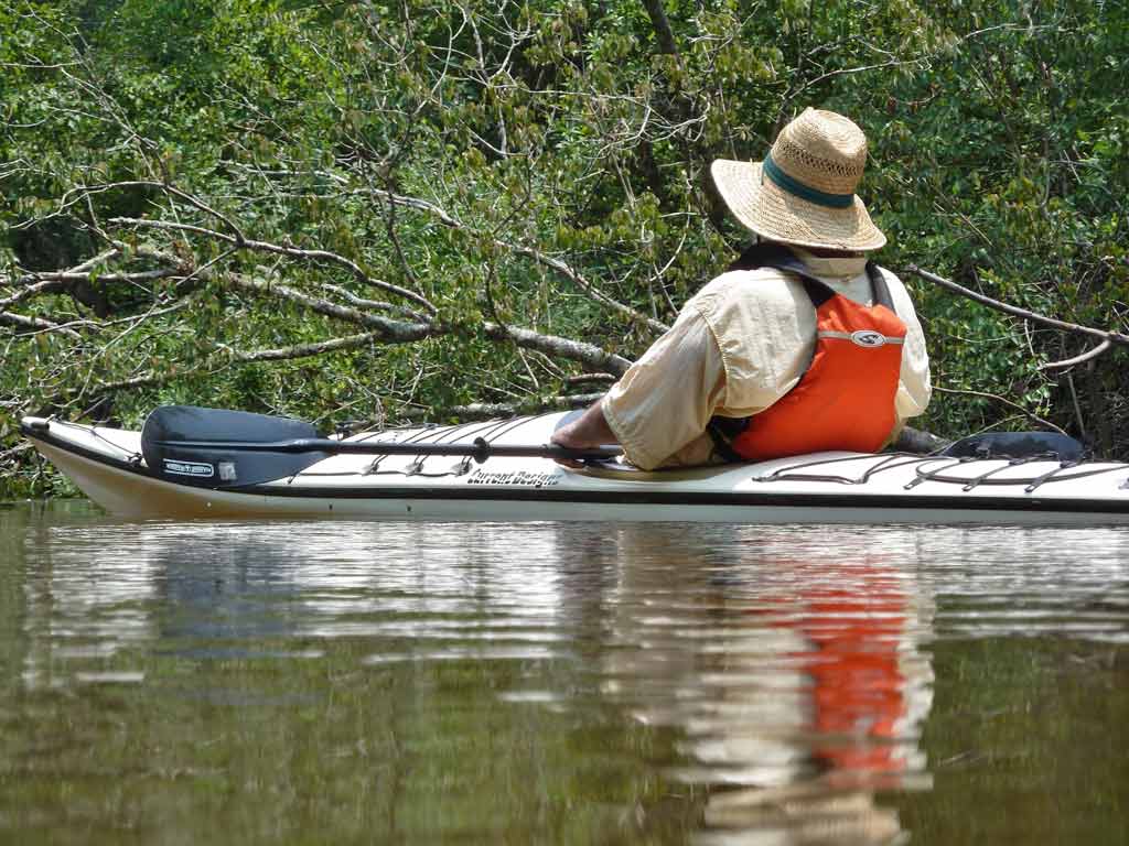 Kayaking the MobileTensaw River Delta 06/11/2011 Presley's Lake and