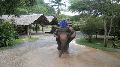 Railay elefanti