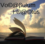 Blog Voc@βulum F®@ctus, meu livro digital