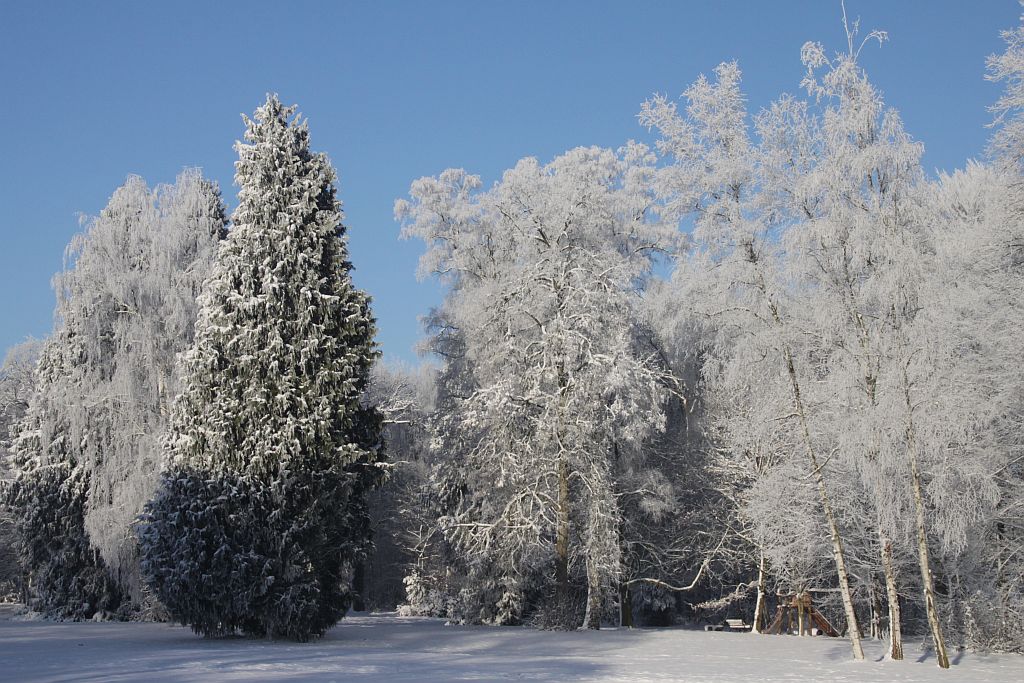 Klarchen Ein Wintergedicht