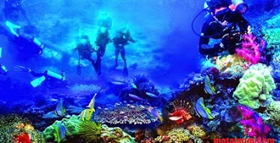 keindahan Bawah laut wisata bunaken keindahan Bawah laut wisata bunaken