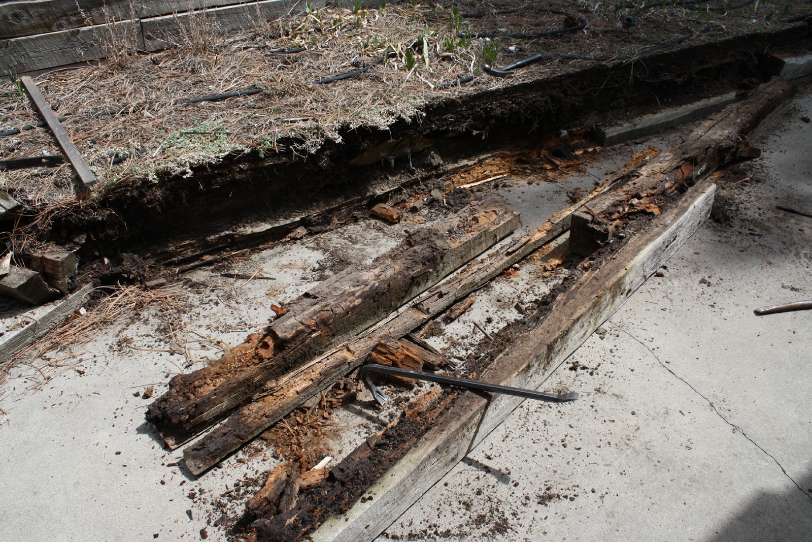 Living and Dyeing Under the Big Sky Rotten Timber Retaining Wall Removal