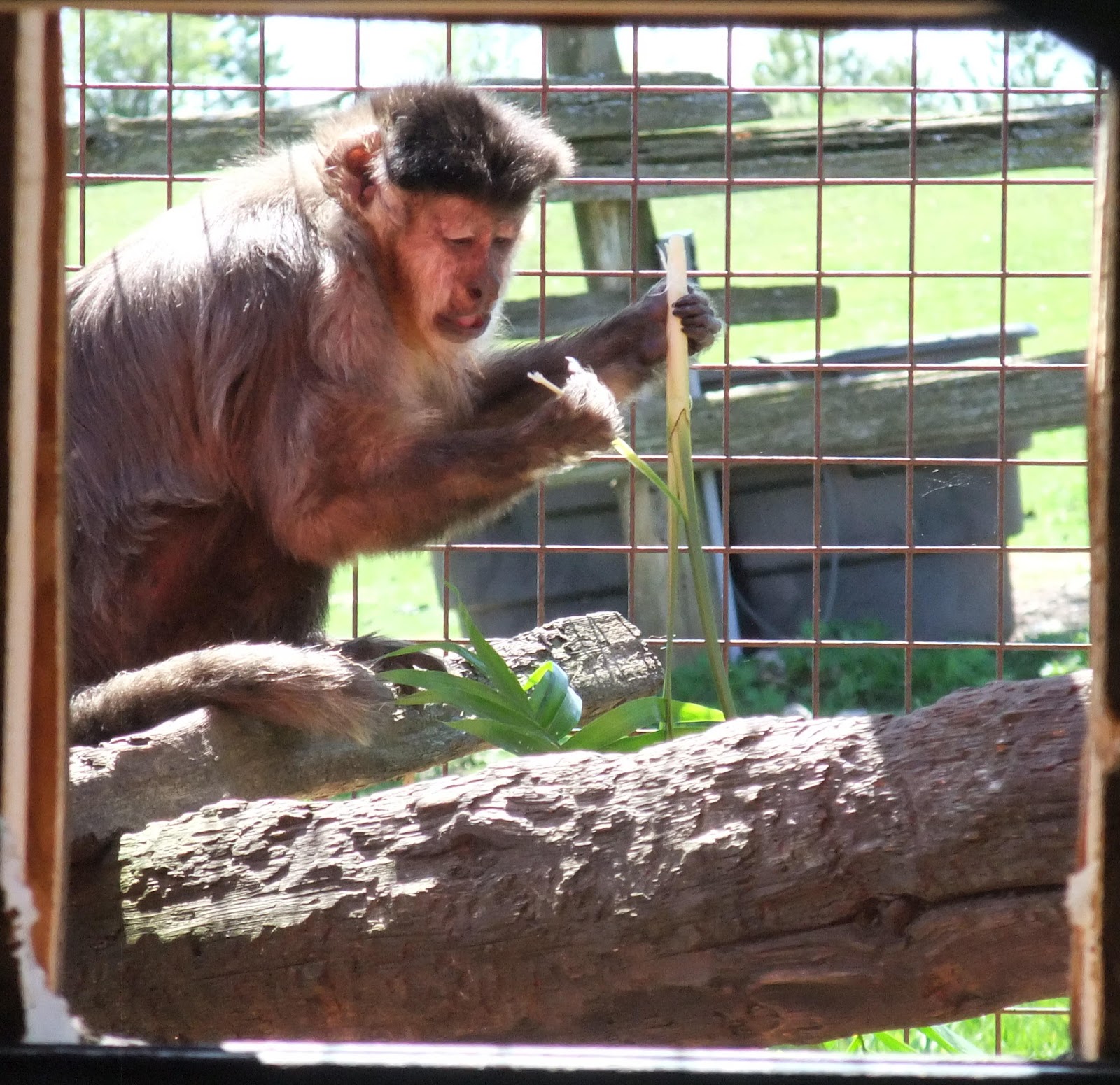 Story Book Tails Thanks Vandermeer Nursery!!!!