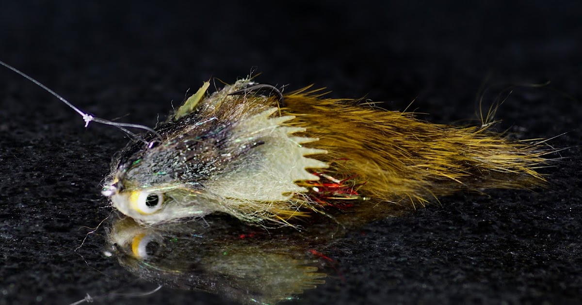 Dual Threat Sculpin Fly Fish Food Fly Tying and Fly Fishing