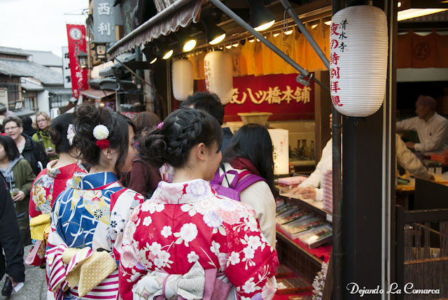 Día 12 - Kyoto (Ginkakuji - Palacio Imperial - Kiyomizu - Gion) - Japón primavera 2016 - 18 días (con bajo presupuesto) (24)