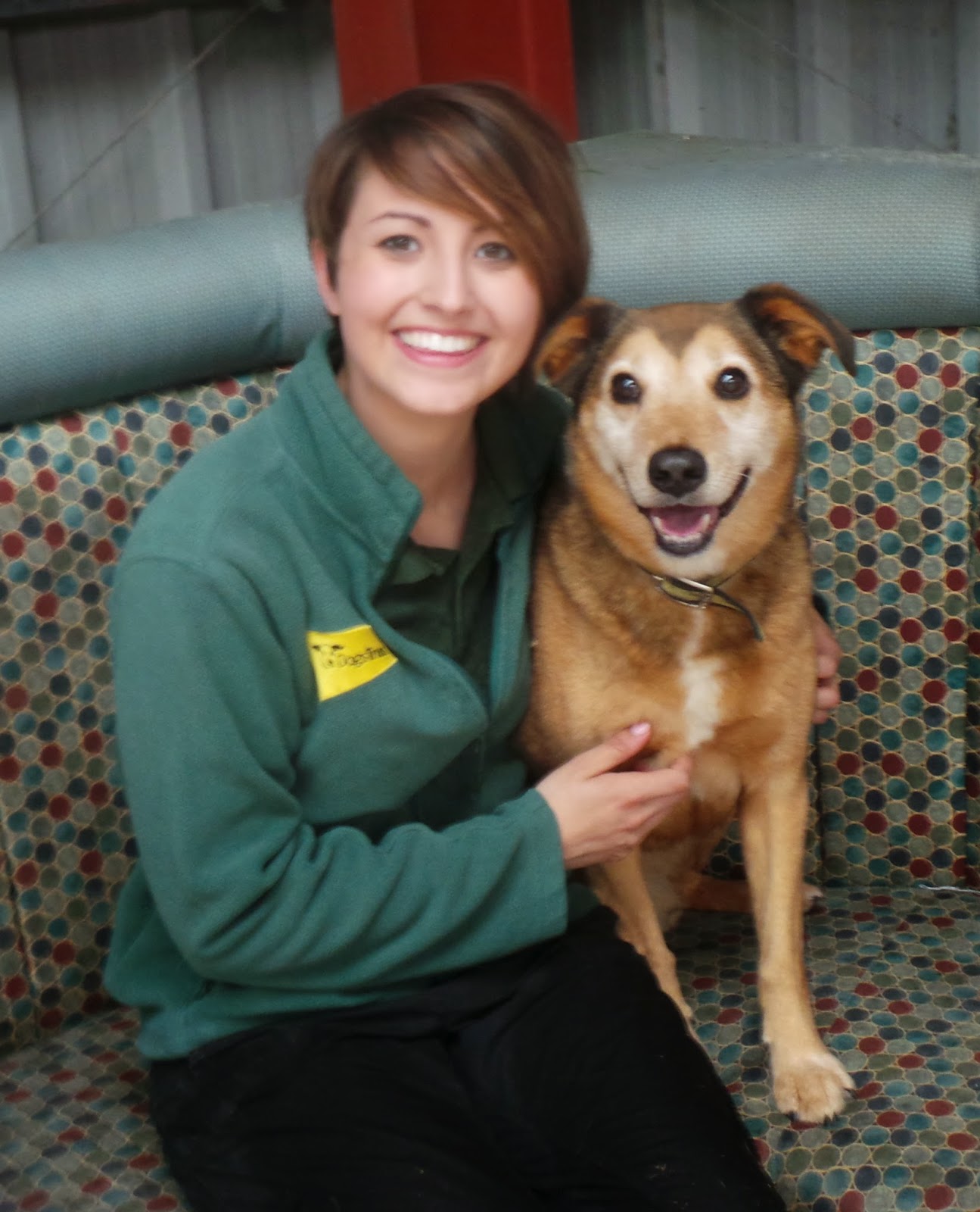 Dogs Trust Dogs Trust West Calder Basil