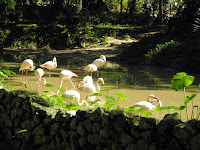 Zoo Negara (2)