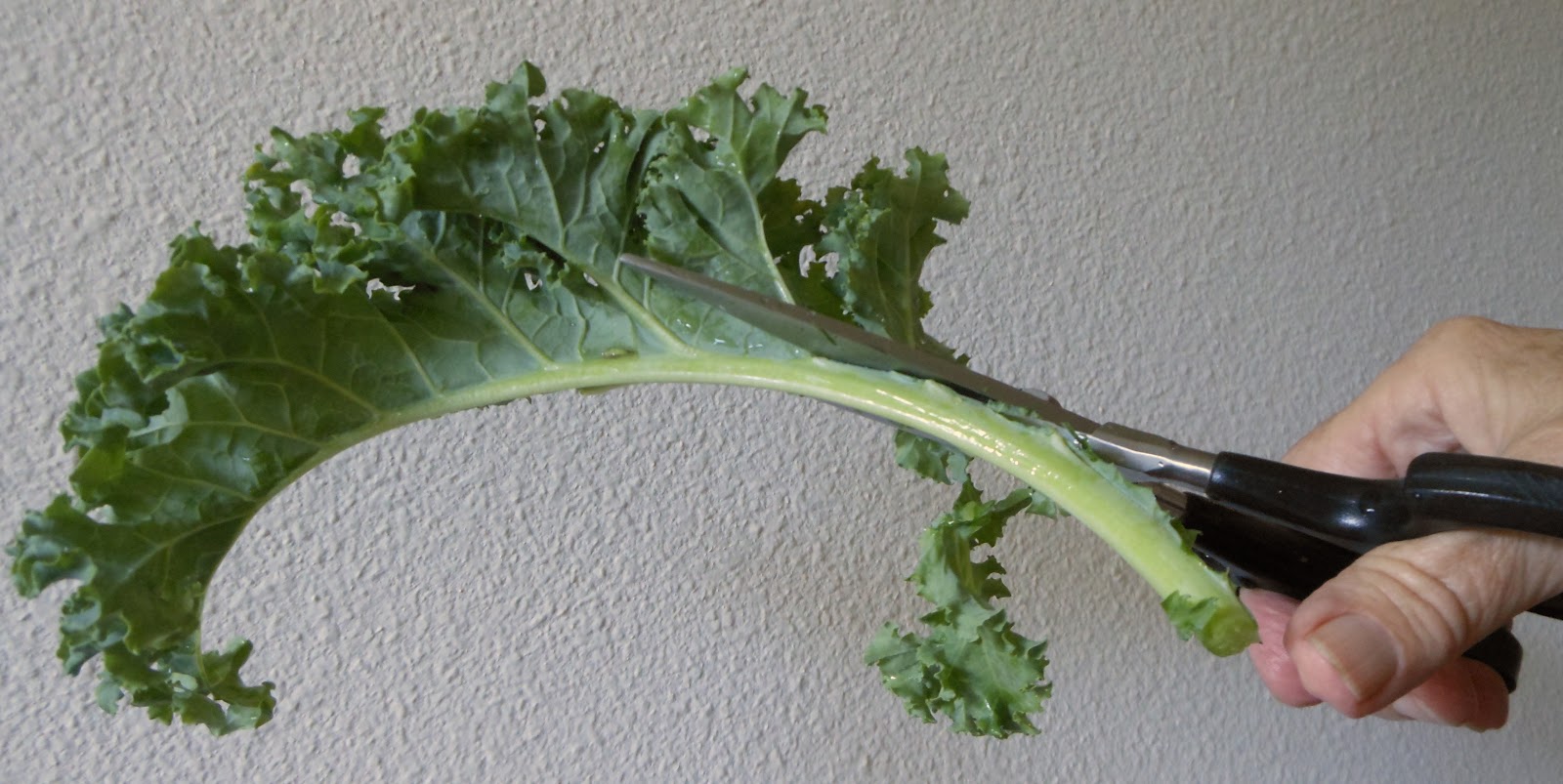 The Gourmet Diabetic Kale Krisps