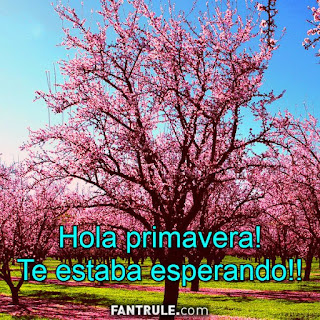 imagenes feliz primavera 2018 hola bienvenida frases