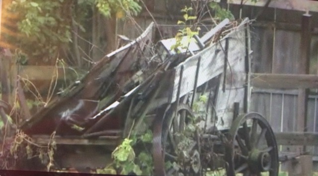 Buckboard in Ruins