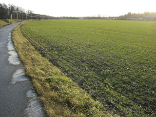 CIMG3159 - Härlig sol men ingen snö