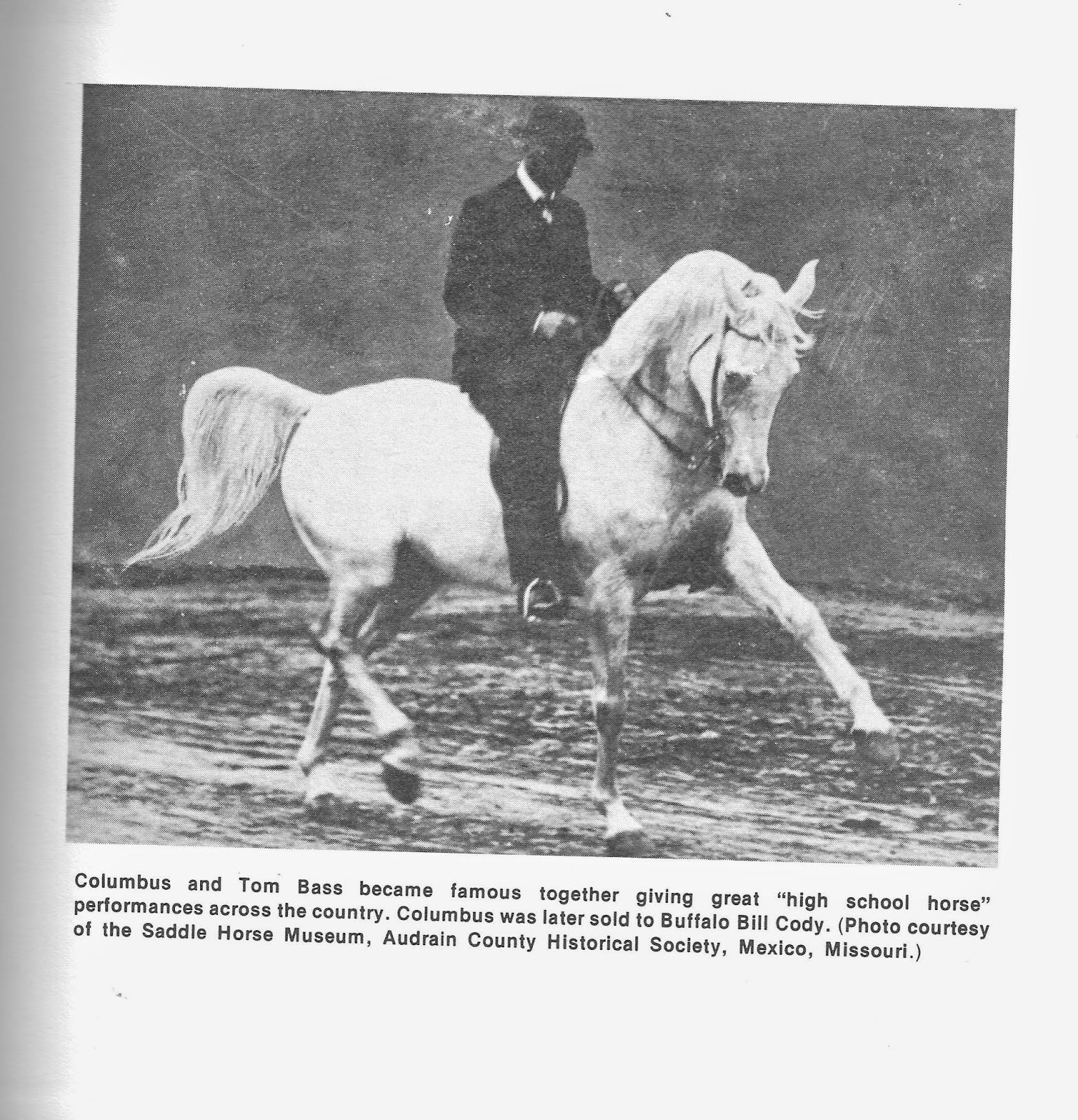 Horses are my passion Great American Horseman...Tom Bass