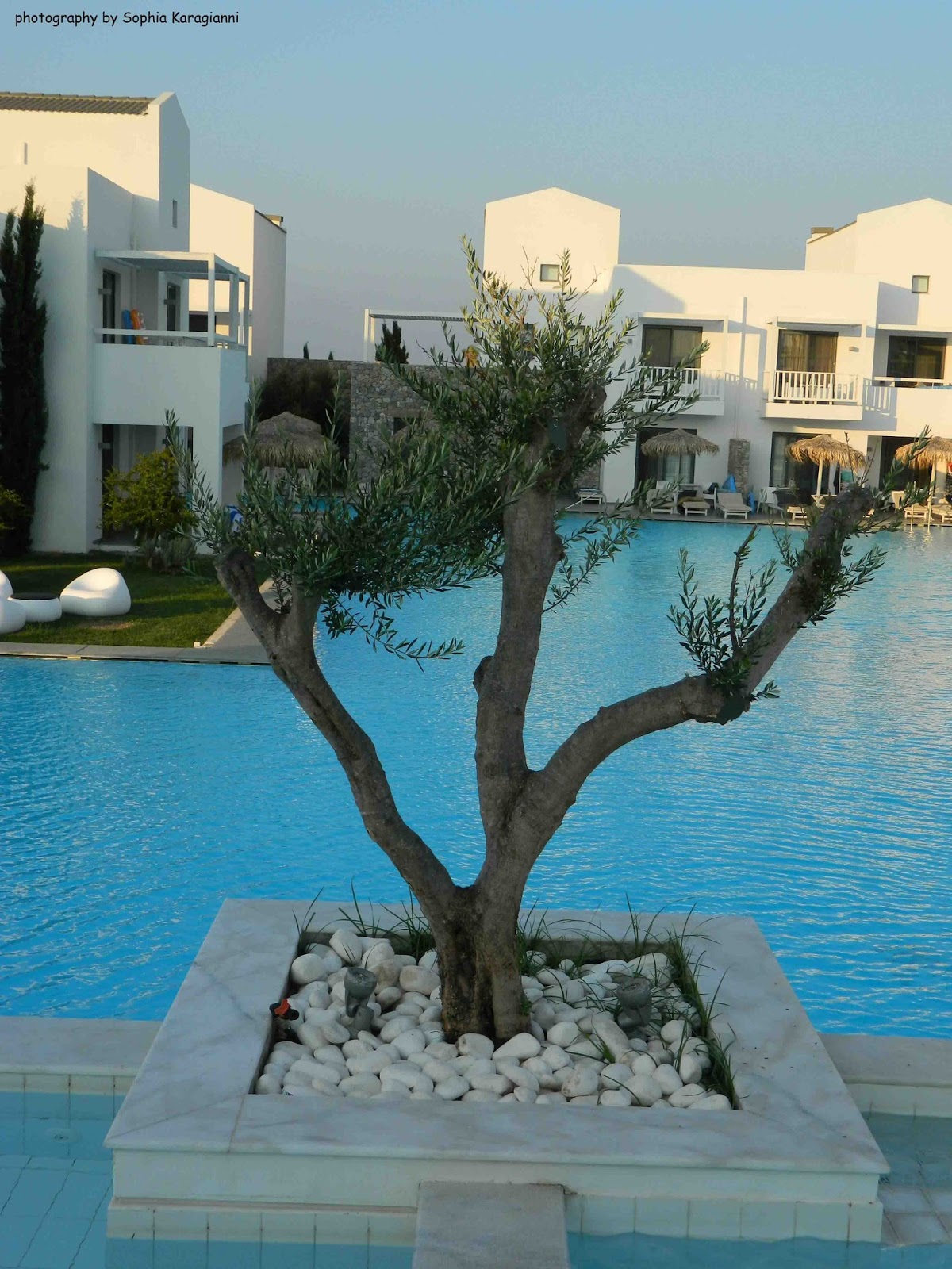Diamond Deluxe Hotel Kos Expedia Diamond Deluxe Hotel Kos Expedia