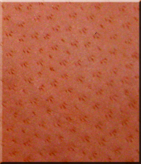 Pig Leather Shoes Identification Pig Leather Shoes Identification