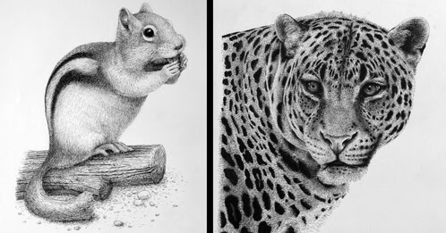 Design Stack: A Blog about Art, Design and Architecture: Animal Wildlife Pen  and Ink Stippling Drawings