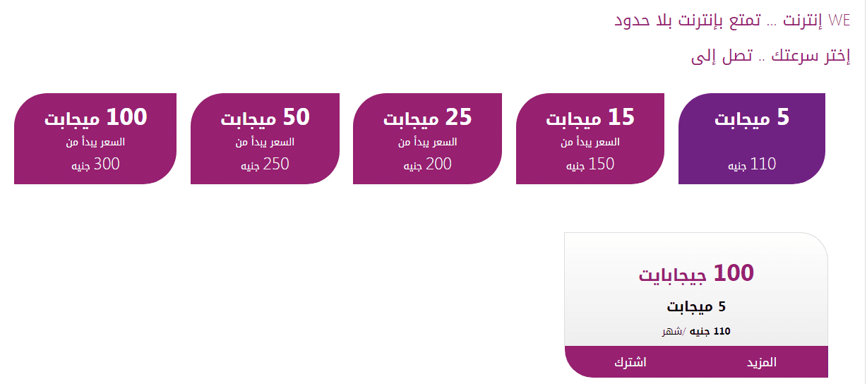 أسعار الإنترنت على التليفون الارضى من تي داتا مصر 202‪3