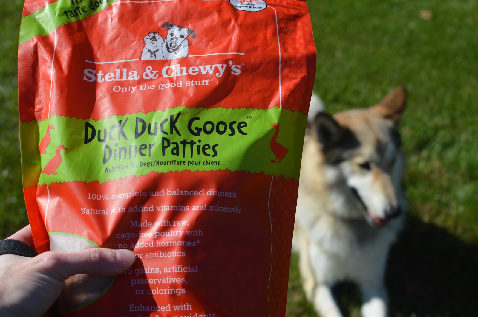 My Rotten Dogs Protein Allergies are No Problem with Stella & Chewy's