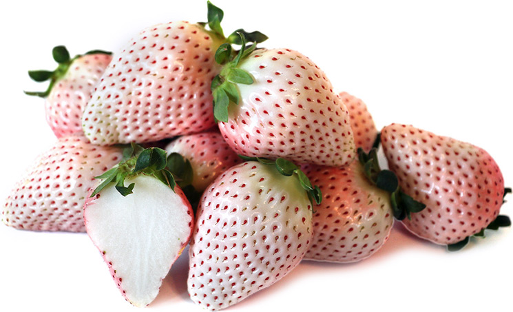 White Strawberry
