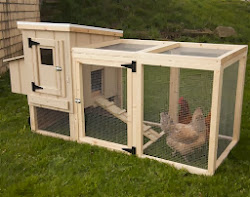 chicken coop coops building easy backyard plans coup portable mobile build chickens tips designs poultry lehmans info animal care lehman
