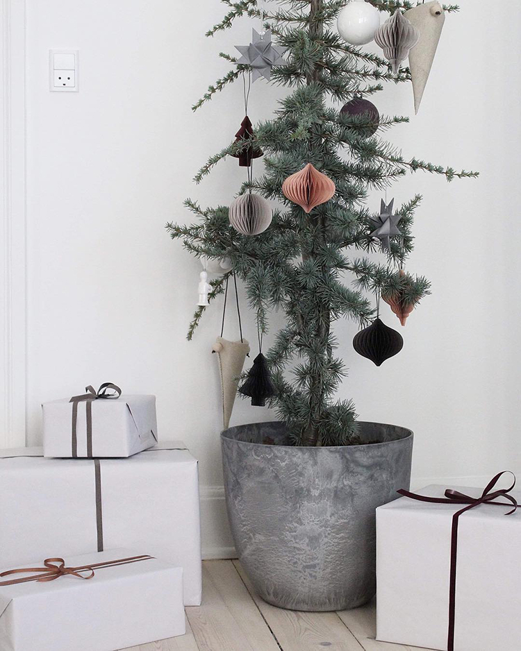 Sustainable Christmas decor, natural potted Christmas tree, Christmas tree plant, small space Christmas decor, natural Christmas decor, Scandinavian Christmas decor, minimalist Chritsmas tree. Photos and idea by Carla Sofie Molge