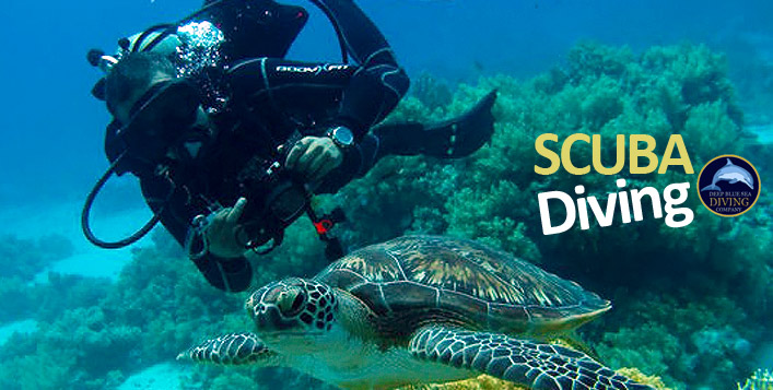 Scuba Diving at Deep Blue Sea Diving Best Deal - Dub-Eye