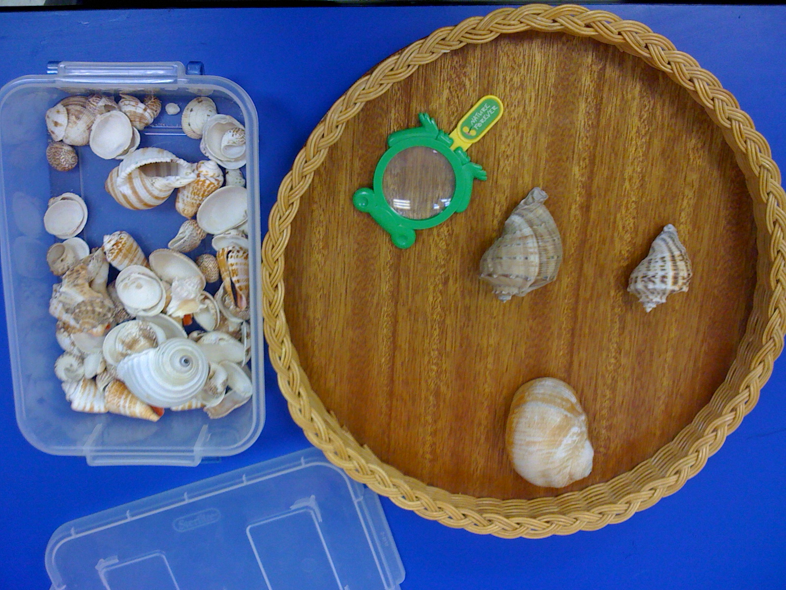 Science Exploration Tubs | Nature Play On Vancouver Island