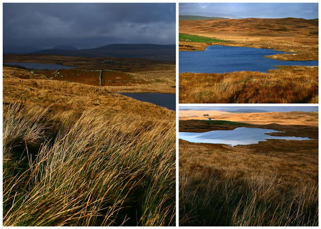 Connemara landscapes © Annie Japaud 2014  